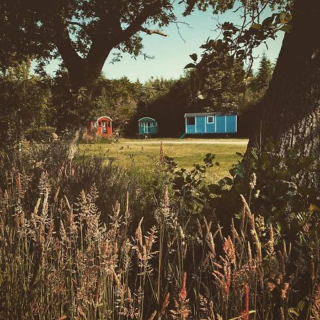 Pipowagens Bij Pannenkoekenrestaurant & Camping De Koppenjan 'Een Uniek Verblijf Met Kinderspeelboerderij' Jubbega-Schurega Exterior foto