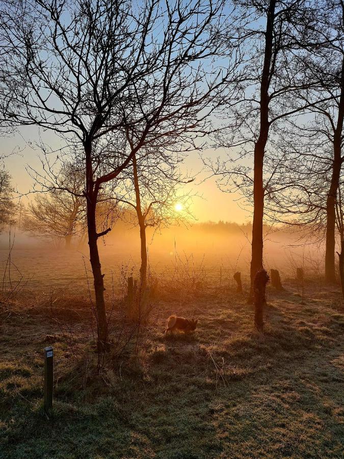 Pipowagens Bij Pannenkoekenrestaurant & Camping De Koppenjan 'Een Uniek Verblijf Met Kinderspeelboerderij' Jubbega-Schurega Exterior foto