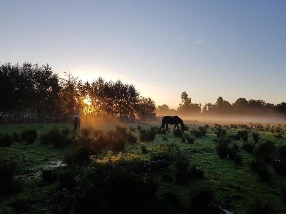 Pipowagens Bij Pannenkoekenrestaurant & Camping De Koppenjan 'Een Uniek Verblijf Met Kinderspeelboerderij' Jubbega-Schurega Exterior foto
