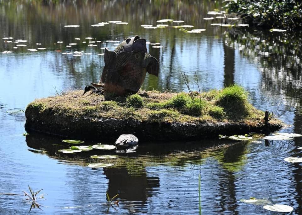 Pipowagens Bij Pannenkoekenrestaurant & Camping De Koppenjan 'Een Uniek Verblijf Met Kinderspeelboerderij' Jubbega-Schurega Exterior foto