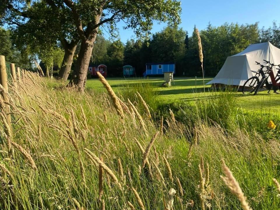 Pipowagens Bij Pannenkoekenrestaurant & Camping De Koppenjan 'Een Uniek Verblijf Met Kinderspeelboerderij' Jubbega-Schurega Exterior foto